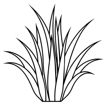 recommend clip art: Grass line art vector illustration