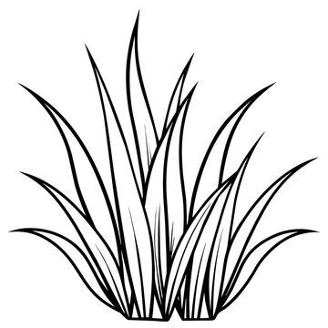recommend clip art: Grass line art vector illustration