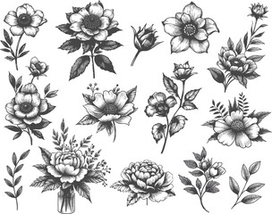 vintage engraved flowers, vector set, editable ornamental elements, botanical, 