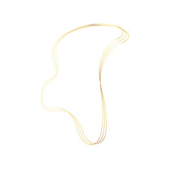 Gold liquid geometric shapes. Graphic elements