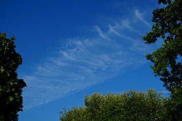 Obraz premium Chemtrail Clouds against a blue sky. Chemtrails and contrails aerial spraying over the city of Garbsen, district of Hanover, northern Germany.