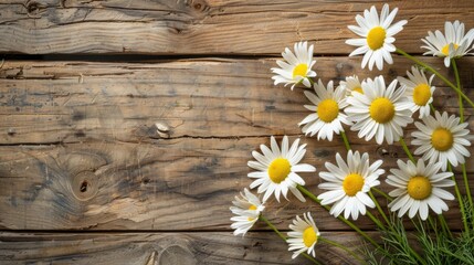 Obraz premium Daisy chamomile flowers on wooden background. View with copy space