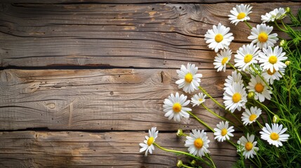 Obraz premium Daisy chamomile flowers on wooden background. View with copy space