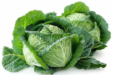 Obraz premium Fresh Green Cabbage Isolated on White Background