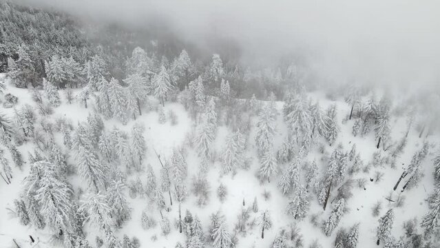 Aerial of a road winding through the mountains after a snow storm outside of Los Angeles California.