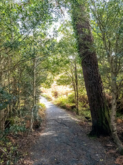 Obraz premium Path in Glenveagh National Park, Republic Donegal, Ireland