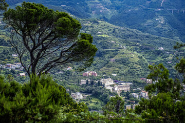 Fototapeta premium Monterosso Hills