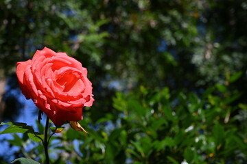 Santuario de virgen de Chilla