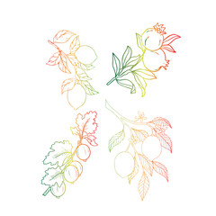 fruit pattern, the ability to change colors. Conceptual design, painting. Logo design, Book cover illustration, Banner advertising, Art illustration,