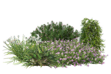 Green garden bushes. Shrubs and flower on transparent background