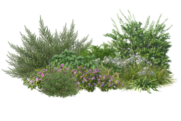 Trees and shrubs Home Garden Decoration on transparent background