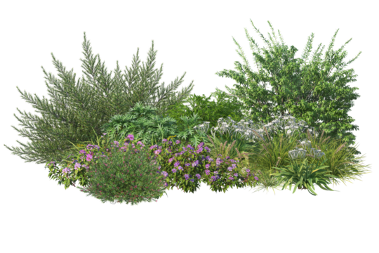 Trees and shrubs Home Garden Decoration on transparent background