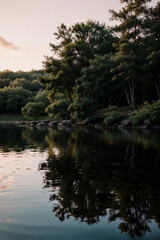 reflection of trees in water