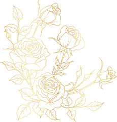 Luxury Rose flowers gold line art illustration © abcvector