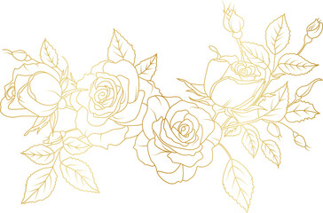 Luxury Rose flowers gold line art illustration