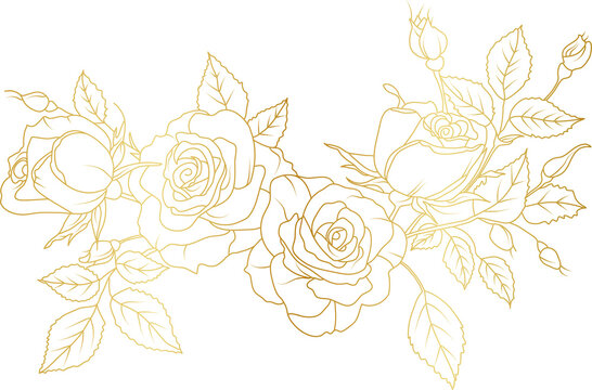 Luxury Rose flowers gold line art illustration