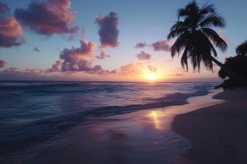 Beautiful sunset over the sea with a view at palms on the white beach on a Caribbean island