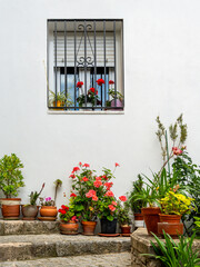 Window with plants in Spain