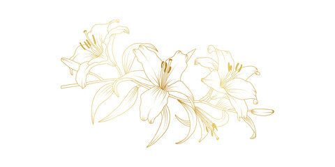 Golden lily flowers line art isolated on white background. Luxury lilies floral design elements for invitation, wedding, wallpaper, print template, vector illustration