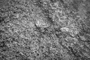 Empty grey rough stone wall on cave for abstract  background and texture. beautiful patterns, space for work, banner, wallpaper close up.