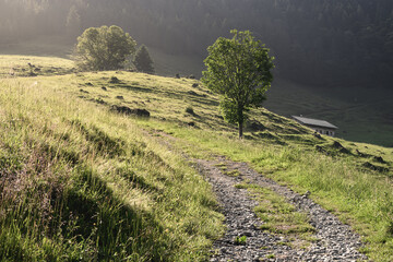 Fototapety na wymiar - Fototapeta24.pl