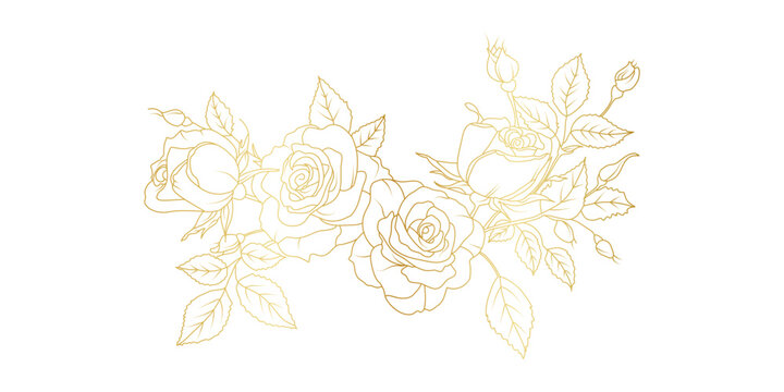 Golden rose flowers line art isolated on white background. Luxury roses floral design elements for invitation, wedding, wallpaper, print template, vector illustration