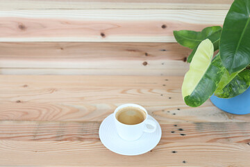 Coffee and plant pot Philodendron Burlemarxii on wooden table