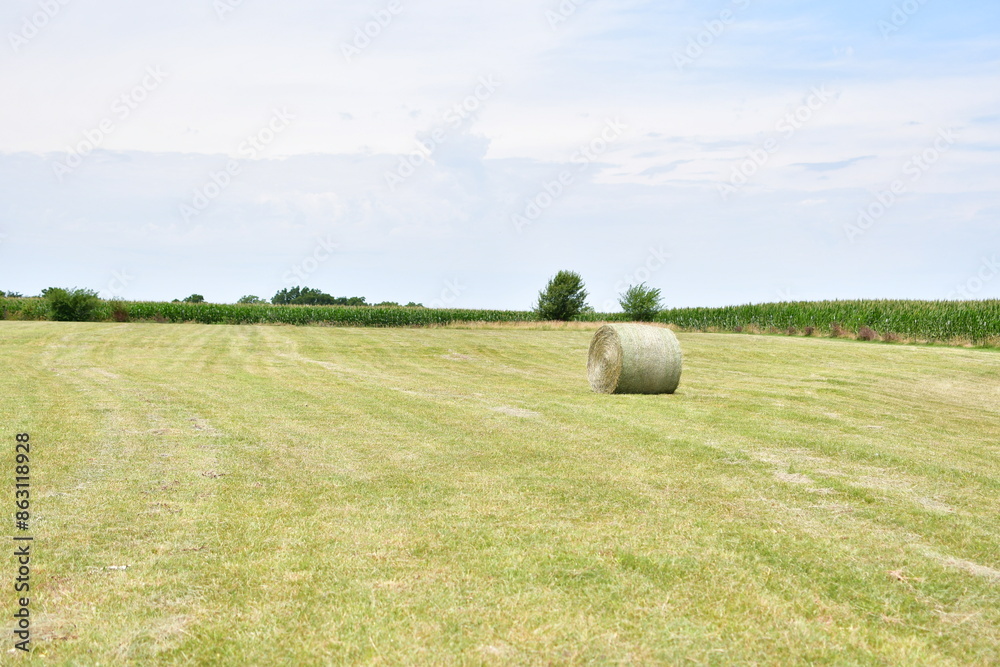 Poster Hay Field