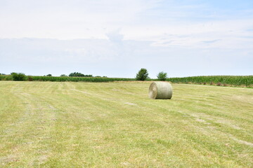 Hay Field