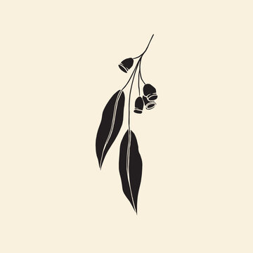 black eucalyptus branch on beige background clip art preview
