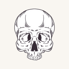 Skull, without lower jaw. Vector illustration. Human skeleton. Anatomy. Silhouette in cartoon, flat style. Graphic arts