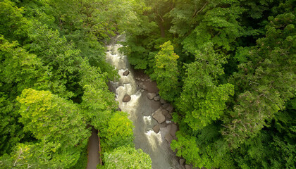 Top down scenic view of a dense, lush green forest with a meandering river flowing through its center, capturing the beauty and calmness of nature in a mesmerizing way.