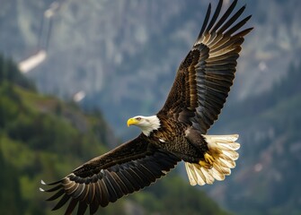 Fototapeta premium Majestic Bald Eagle Soaring Over Mountain Landscape