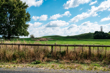 Obraz premium Green pasture hill with cattle farm in farmland at countryside