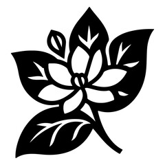 jasmine flower vector illustration