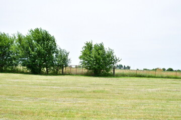 Hay Field