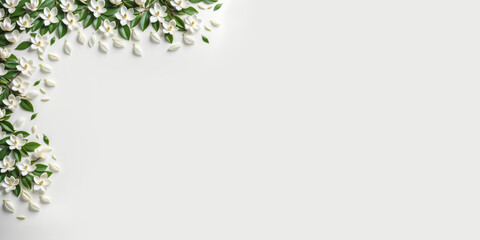 Obraz premium Vibrant Jasmine Flower Background