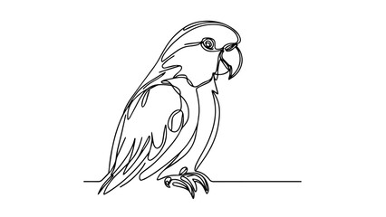 parrot single line drawing
