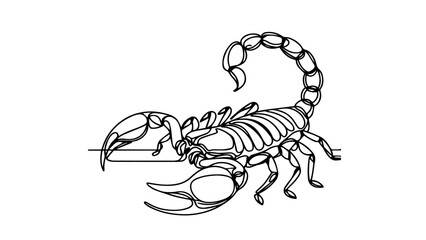 single line drawing of a scorpion