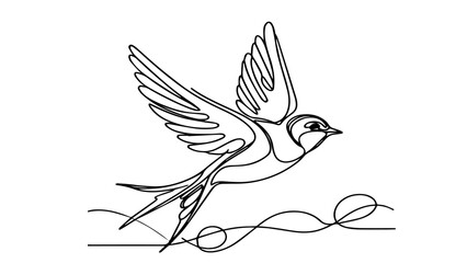 single line illustration of a Swallow