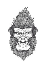 An original vector illustration in an abstract style. A gorilla with a stylish hairstyle. T-shirt design.