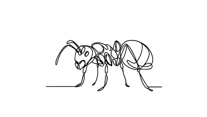 single line drawing of an ant