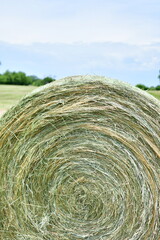 Hay Bale