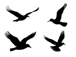 set of flying bird silhouette illustration