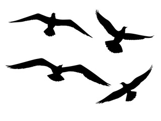 set of flying bird silhouette illustration