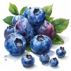 Obraz premium A close-up, watercolor-style illustration of a group of blueberries, some with visible dew drops, on a white background
