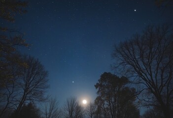 Fototapeta premium The Enchanting and Captivating Atmosphere of the Mysterious Night Sky