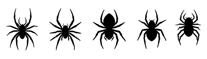 set of spider silhouette vector design