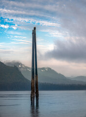 Tall docking pole full of clams and topped by a bald eagle on a beach in Icy Strait Point, Hoonah, Alaska, USA
