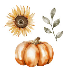 Watercolor clipart pumpkins and sunflowers on a white background. Hand painted illustration